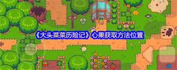大头菜的冒险之旅：揭秘中心果藏身的神秘地点