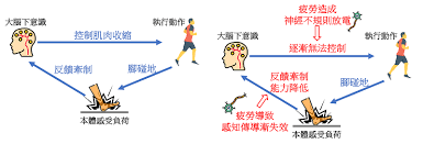 开放空间疲劳值对工作效率和心理健康的潜在影响分析