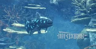 在怪物猎人荒野中如何高效钓到化石腔棘鱼的实用技巧与攻略