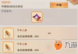 是否考虑准备第二套修真灵草培育术的必备材料与技巧呢？
