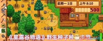 星露谷物语中有效种植野生种子的技巧与步骤详解