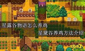 星露谷物语中关于饲养鸡只的技巧与注意事项解析