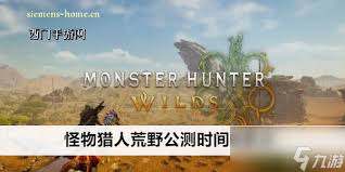 怪物猎人荒野游戏的总游玩时长究竟有多长呢？