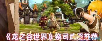 在龙之谷中，祭司角色应该如何合理选择和搭配武器以提升战斗力