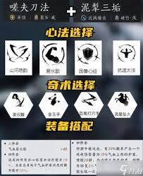燕云十六声在双剑组合中如何实现最佳搭配与发挥