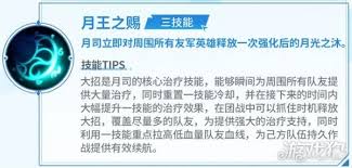 巅峰对决月司最佳攻略与实用技巧全面解析