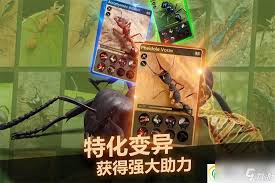 蚂蚁崛起如何通过团队协作与策略优化来显著提升战斗力