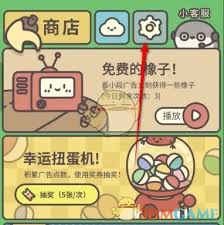 如何查看橡子屋大宝典的详细内容及使用技巧指南