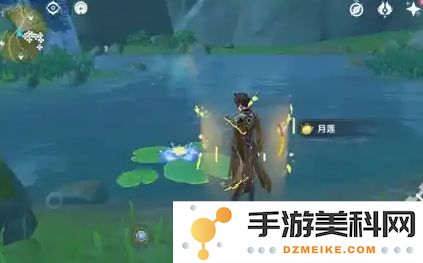 原神月莲怎么快速收集