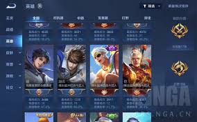 王者荣耀中哪个类型的队友最容易让人感到无奈和失望