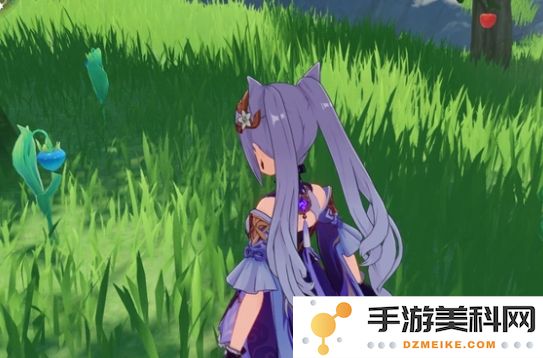 原神小灯草怎么快速收集