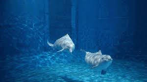 哪些海洋生物会定期浮出水面进行呼吸和换气，确保它们的生存与健康？