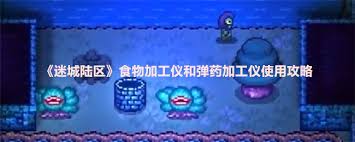 迷城陆区食物加工仪的使用方法及注意事项详解，帮助你更好地进行食物处理