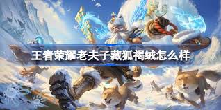 王者荣耀老夫子藏狐褐绒皮肤具体上线时间及相关资讯分享