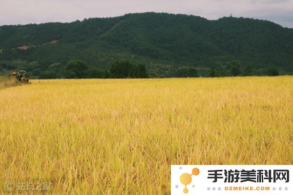 苏州推出12项强农新政策，百万资金支持“农业大模型”发展