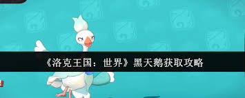 如何在洛克王国中获得世界黑天鹅的详细攻略和步骤