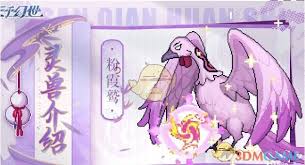 在三千幻世中，究竟哪些灵兽能够称霸，展现最强的实力与魅力