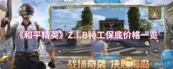和平精英Z.I.B特工的保底价格具体是多少，有哪些特殊的获取方式和注意事项？
