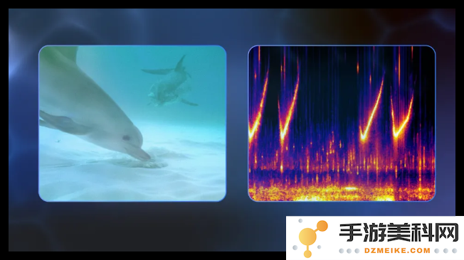 谷歌发布先进 AI 模型助力破解海豚“交流语言”的奥秘和潜力