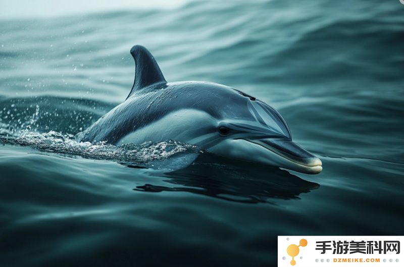 Google 发布 DolphinGemma，开启海豚语言研究的新纪元与突破进展