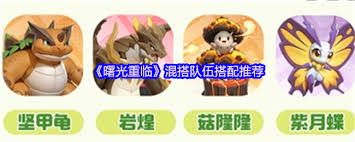 曙光重现时如何有效地搭配和组合混合型队伍